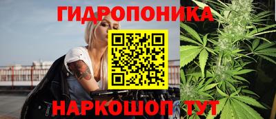 хмурый Краснодар