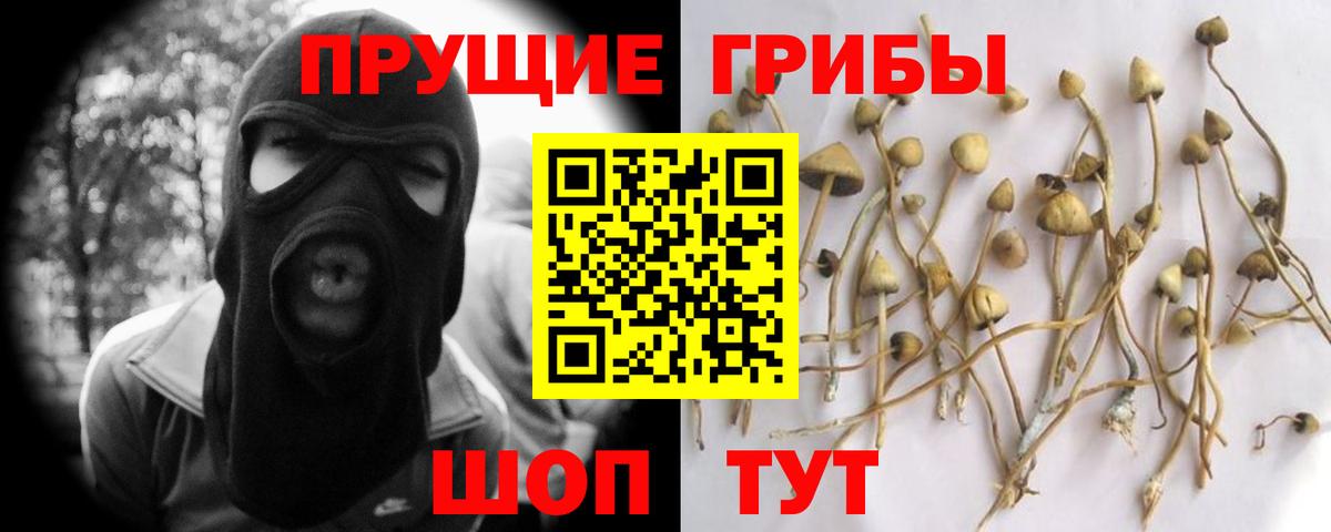 Псилоцибиновые грибы Magic Shrooms  Вход с VPN  Ишимбай 